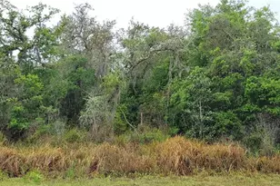 Spruce Rd, Ocala, FL 34472 - Photo 1