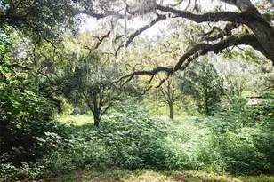 4367 S US 301, Bushnell, FL 33513 - Photo 30