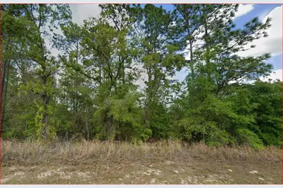 11016 N Mataro Avenue, Citrus Springs, FL 34434 - Photo 2