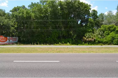 Tbd N US Hwy 301, Citra, FL 32113 - Photo 6