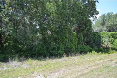 Tbd N US Hwy 301, Citra, FL 32113 - Photo 2