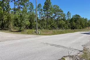 Lot 1 NW Mandrake Dr, Dunnellon, FL 34431 - Photo 1