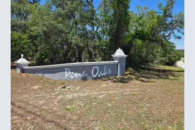11837 N Captiva Terrace, Dunnellon, FL 34433 - Photo 8