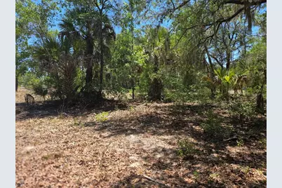 11837 N Captiva Terrace, Dunnellon, FL 34433 - Photo 2