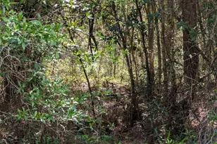 202nd Ct, Dunnellon, FL 34431 - Photo 1