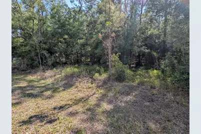 202nd Ct, Dunnellon, FL 34431 - Photo 4