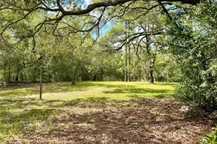 7561 SE 120th Ct, Morriston, FL 32668 - Photo 50