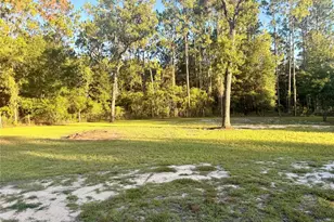 7561 SE 120th Ct, Morriston, FL 32668 - Photo 56