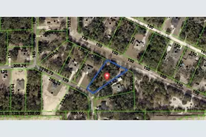10353 Meadow Wren Avenue, Weeki Wachee, FL 34613 - Photo 2