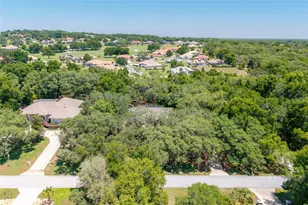 315 W Britain St, Hernando, FL 34442 - Photo 56