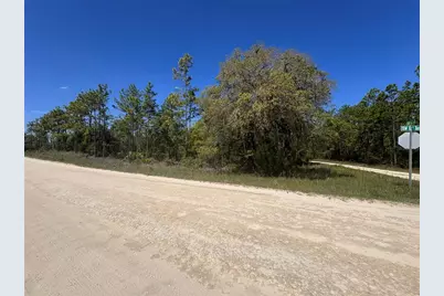 0 SW 56th Lane, Ocala, FL 34481 - Photo 2