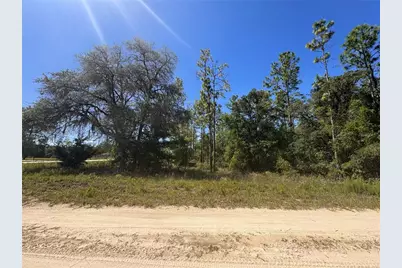 0 SW 56th Lane, Ocala, FL 34481 - Photo 4