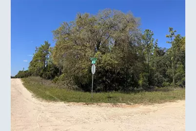 0 SW 56th Lane, Ocala, FL 34481 - Photo 1