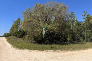 0 SW 56th Ln, Ocala, FL 34481 - Photo 1