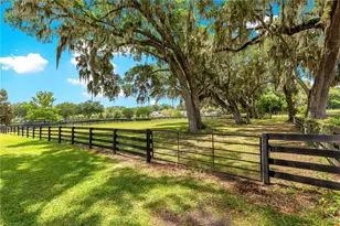 9041 SW 14th Ave, Ocala, FL 34476 - Photo 62