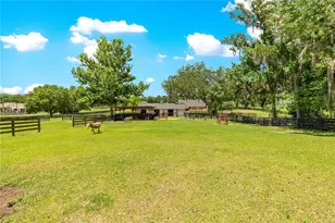 9041 SW 14th Ave, Ocala, FL 34476 - Photo 66