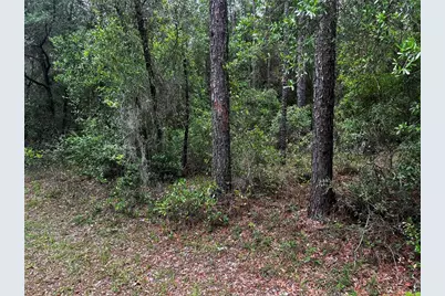 Tbd SW 186th Ct., Dunnellon, FL 34432 - Photo 2