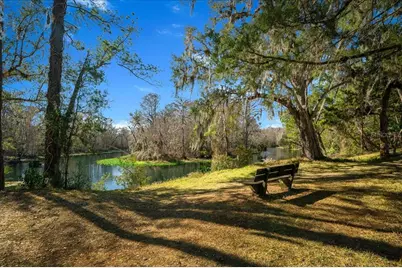 3273 NE 102nd Avenue Road, Silver Springs, FL 34488 - Photo 62