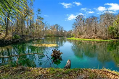 3273 NE 102nd Avenue Road, Silver Springs, FL 34488 - Photo 66