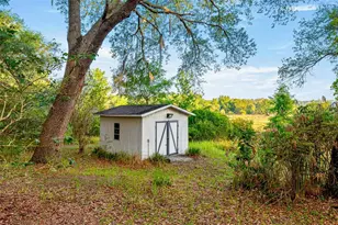16789 SE 69 Ln, Ocklawaha, FL 32179 - Photo 44