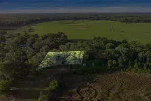 16789 SE 69 Ln, Ocklawaha, FL 32179 - Photo 10