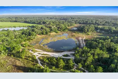 16789 SE 69th Lane, Ocklawaha, FL 32179 - Photo 4