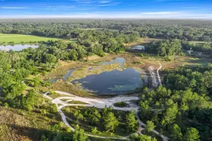 16789 SE 69 Ln, Ocklawaha, FL 32179 - Photo 4