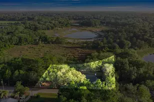 16789 SE 69 Ln, Ocklawaha, FL 32179 - Photo 8