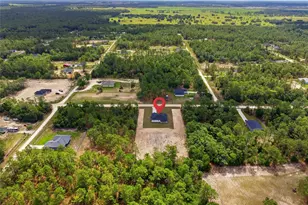 6886 SW 125th Ct Rd, Ocala, FL 34481 - Photo 46