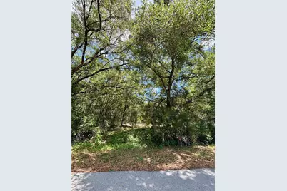 Lot 15 SW Shorewood Drive, Dunnellon, FL 34431 - Photo 2