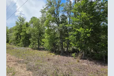 0000 NE 73rd Lane, Bronson, FL 32621 - Photo 4