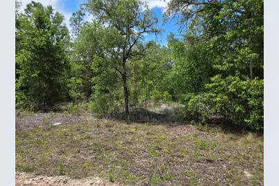 0000 NE 73rd Lane, Bronson, FL 32621 - Photo 2