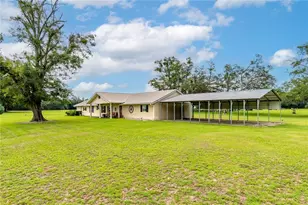 11990 156th St, Mc Alpin, FL 32062 - Photo 8