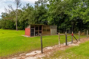 11990 156th St, Mc Alpin, FL 32062 - Photo 88