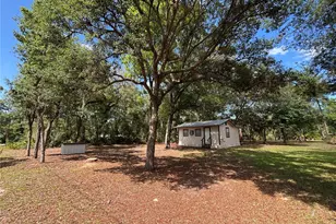 317 NE 172nd Ave, Silver Springs, FL 34488 - Photo 4