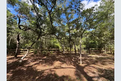 317 NE 172nd Avenue, Silver Springs, FL 34488 - Photo 14