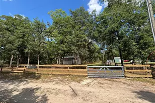 317 NE 172nd Ave, Silver Springs, FL 34488 - Photo 10