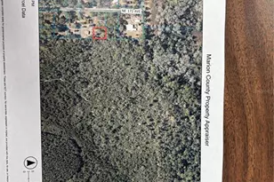 317 NE 172nd Ave, Silver Springs, FL 34488 - Photo 26