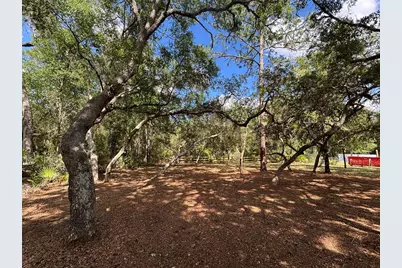 317 NE 172nd Avenue, Silver Springs, FL 34488 - Photo 12