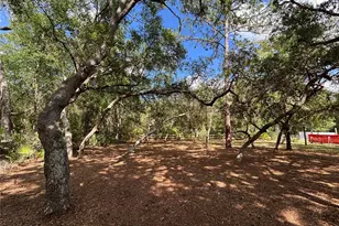 317 NE 172nd Ave, Silver Springs, FL 34488 - Photo 12