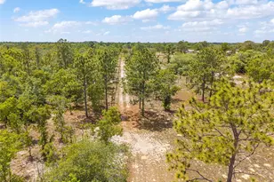 9950 SE 136th Terrace, Dunnellon, FL 34431 - Photo 24
