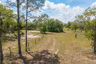 9950 SE 136th Terrace, Dunnellon, FL 34431 - Photo 20