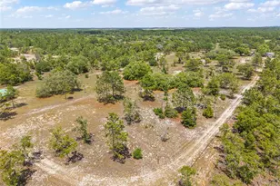 9950 SE 136th Terrace, Dunnellon, FL 34431 - Photo 24