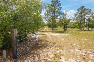 9950 SE 136th Terrace, Dunnellon, FL 34431 - Photo 22