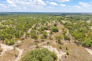 9950 SE 136th Terrace, Dunnellon, FL 34431 - Photo 16