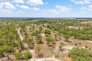 9950 SE 136th Terrace, Dunnellon, FL 34431 - Photo 18