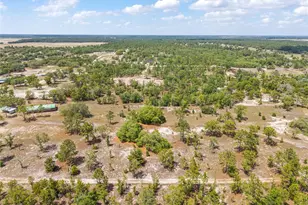 9950 SE 136th Terrace, Dunnellon, FL 34431 - Photo 14
