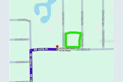0 NE 157 Place, Fort Mc Coy, FL 32134 - Photo 2