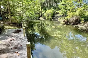 30391 NE 97th Pl, Salt Springs, FL 32134 - Photo 4