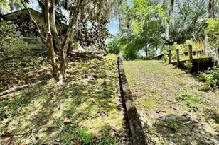 30391 NE 97th Pl, Salt Springs, FL 32134 - Photo 6